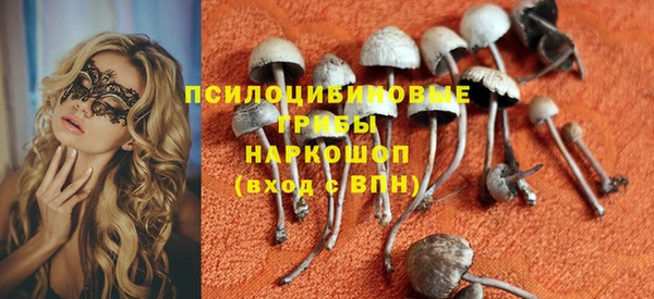 крисы Малоярославец