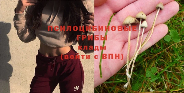 наркотики Протвино