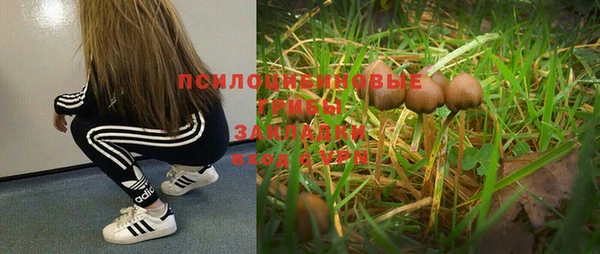 прущая мука Пролетарск