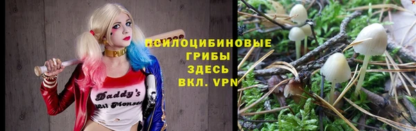 винт Мамадыш