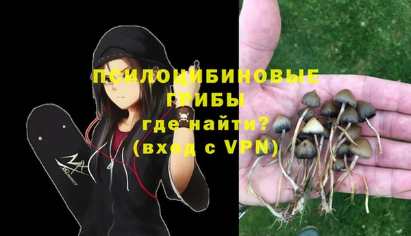 кокс Приозерск