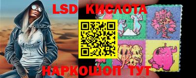 прущие грибы Гагарин