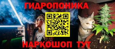 прущие грибы Гагарин