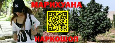 прущие грибы Гагарин