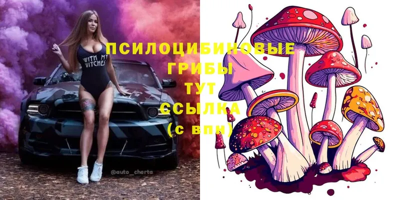 Псилоцибиновые грибы Cubensis  Краснотурьинск 