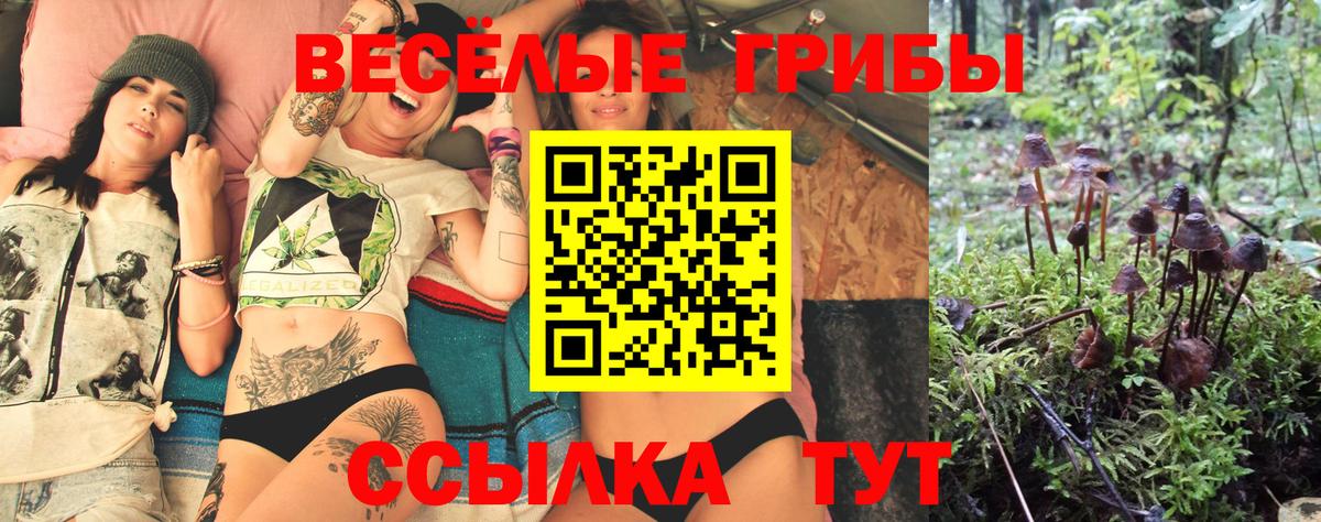 купить   Галлюциногенные грибы MAGIC MUSHROOMS  Вход с VPN  Краснотурьинск 