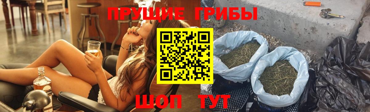 Псилоцибиновые грибы Psilocybine cubensis Краснотурьинск