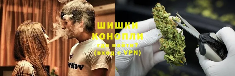 Бошки марихуана THC 21%  Краснотурьинск 